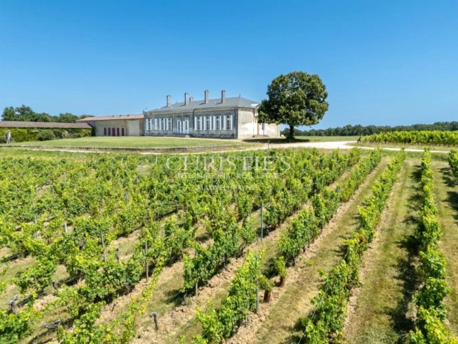 Photos 3 - Viticole - Domaine viticole historique en Fronsac avec un terroir de qualité à proximité de Libourne