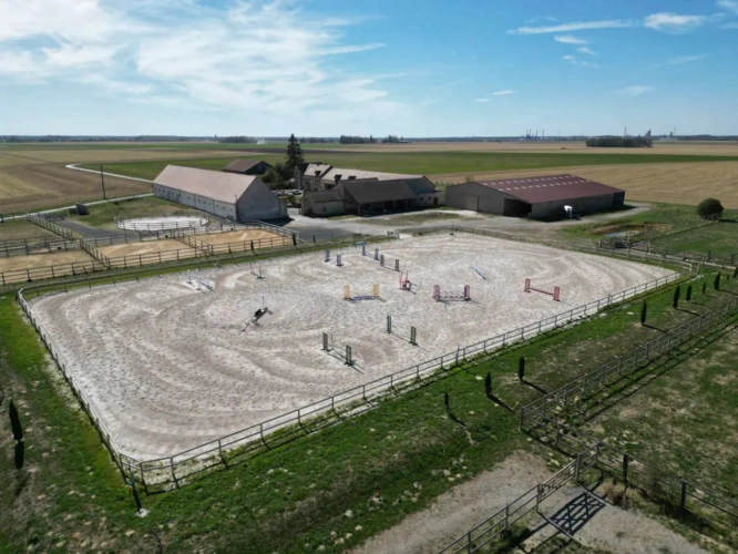 Photos 1 - Équestre - Domaine équestre au potentiel exceptionnel