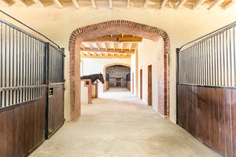 Photos 3 - Équestre - Domaine équestre au potentiel exceptionnel