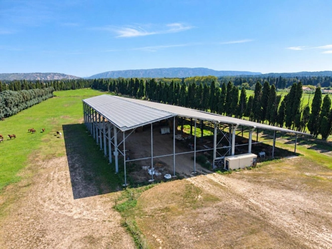Photos 5 - Équestre - Saint-Andiol ? domaine de 11,5 hectares avec mas provençal, logements, piscine et potentiel de resort équestre