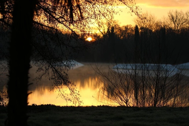 Photos 7 - Forestière - Sablons ? domaine privé de 7 hectares avec lac de 3,6 hectares, hébergements et potentiel touristique près de Saint-Émilion