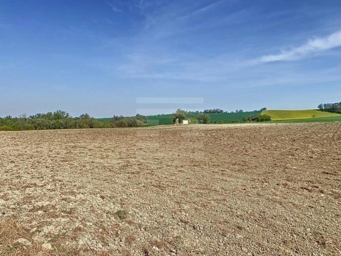 Photos 20 - Rurale - Propriété