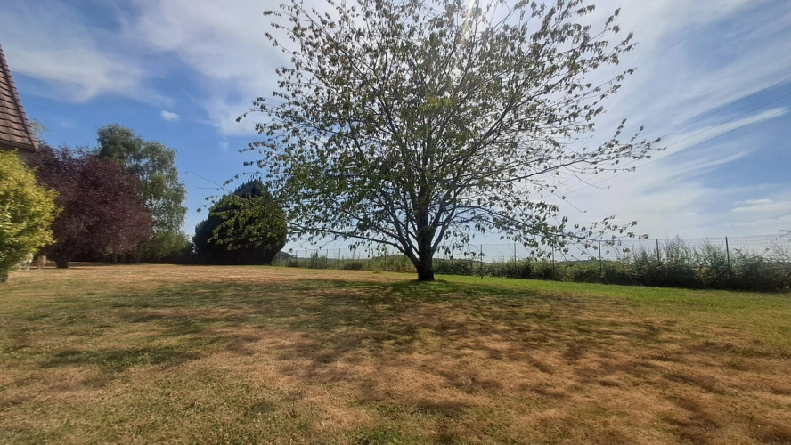 Photos 27 - Rurale - LE THOULT TROSNAY (51) à vendre superbe corps de ferme restauré sur un terrain clos de plus de 8600 m2 avec étang