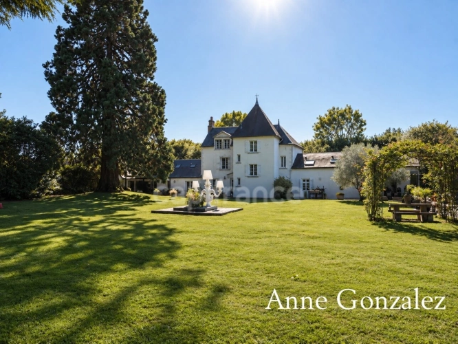 Photos 16 - Prestige - ORLEANS-SAINT JEAN LE BLANC, Rare propriété du XVIIIème revisitée par un architecte, parc paysager, piscine , élégance et prestations haut de gamme