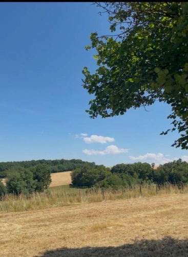 Photos 13 - Rurale - ALLIER