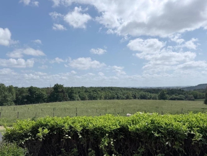 Photos 15 - Rurale - ALLIER
