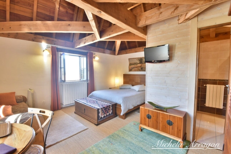 Photos 27 - Prestige - Propriete à vendre 20 pièces PINEL HAUTERIVE (47)
