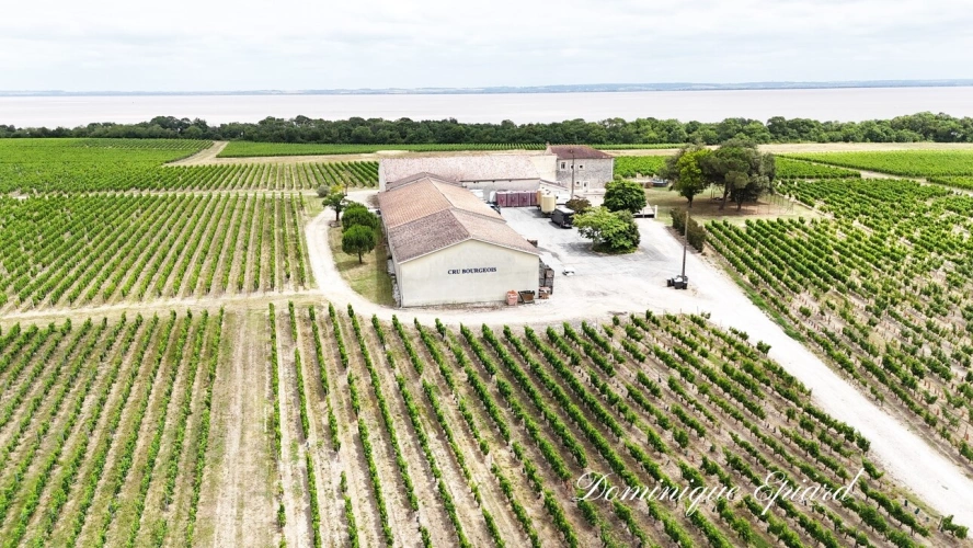 Photos 1 - Prestige - Exclusivité À VENDRE Vignoble Cru Bourgeois Médoc Vue exceptionnelle