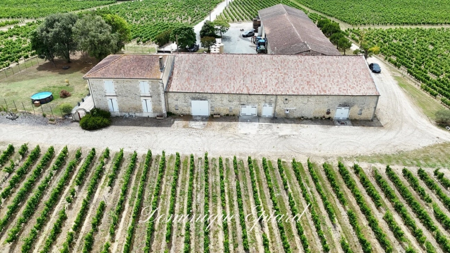 Photos 4 - Prestige - Exclusivité À VENDRE Vignoble Cru Bourgeois Médoc Vue exceptionnelle