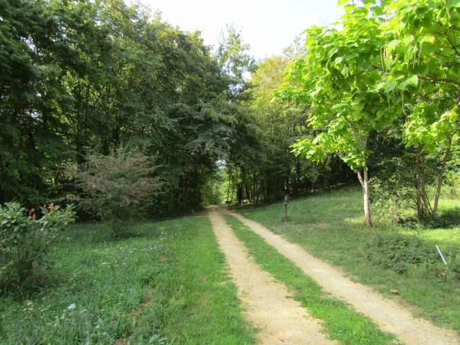 Photos 9 - Touristique - Très joli parc résidentiel dans un écrin de nature