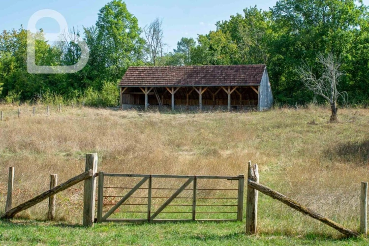 Photos 5 - Équestre - Domaine de caractère sur 6,2 ha avec installations équestres
