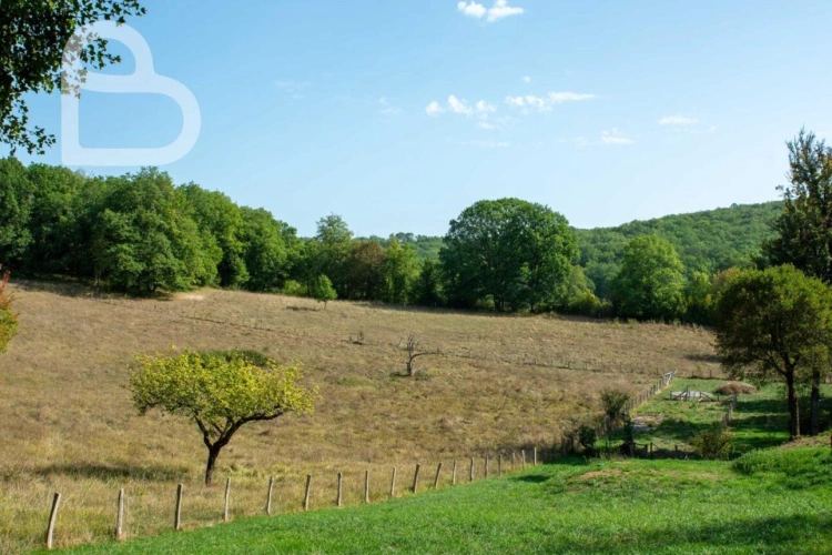Photos 6 - Équestre - Domaine de caractère sur 6,2 ha avec installations équestres