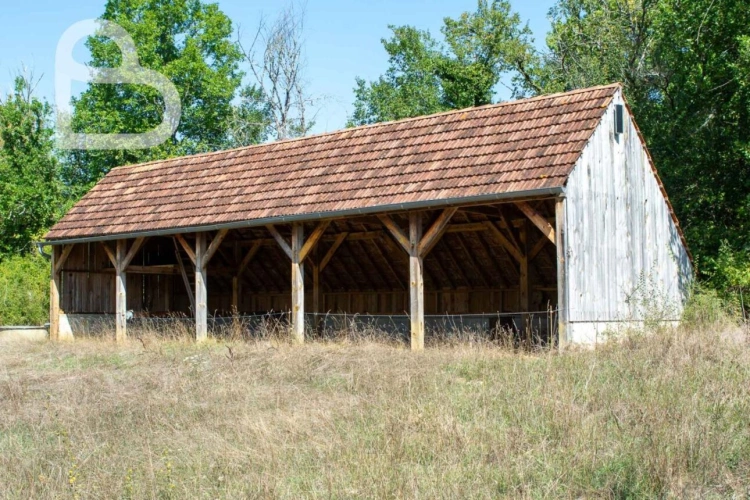 Photos 28 - Équestre - Domaine de caractère sur 6,2 ha avec installations équestres