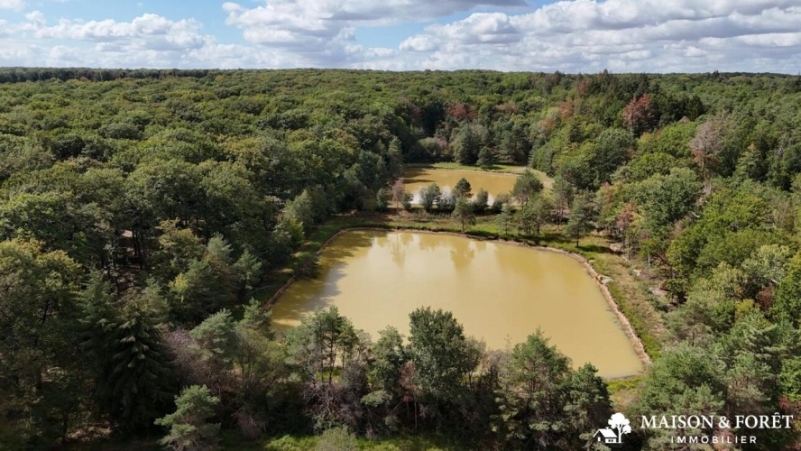 Photos 1 - Prestige - PROPRIÉTÉ DE CHASSE de 237 ha
