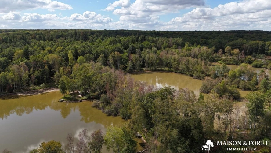 Photos 2 - Prestige - PROPRIÉTÉ DE CHASSE de 237 ha