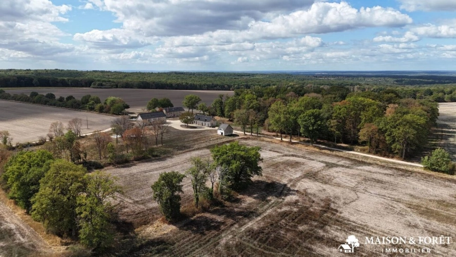Photos 3 - Prestige - PROPRIÉTÉ DE CHASSE de 237 ha