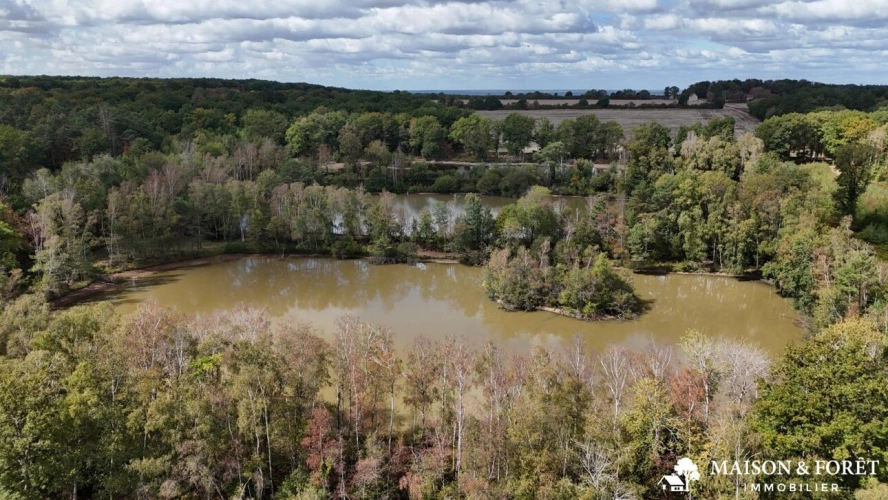 Photos 4 - Prestige - PROPRIÉTÉ DE CHASSE de 237 ha