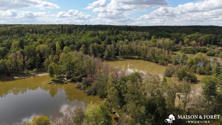 Photos 5 - Prestige - PROPRIÉTÉ DE CHASSE de 237 ha