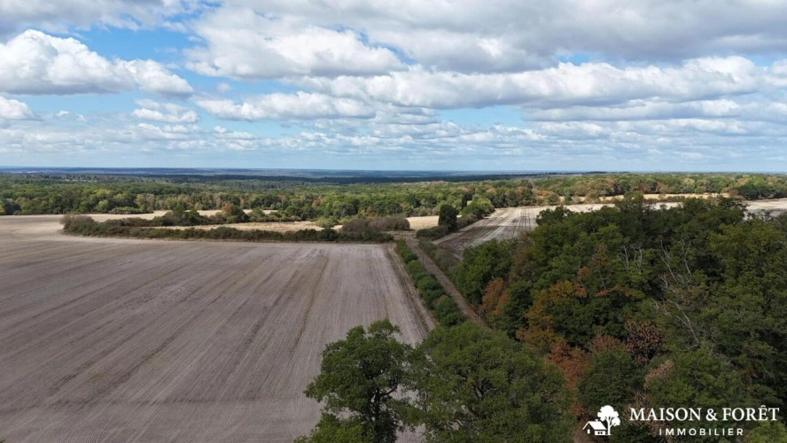Photos 6 - Prestige - PROPRIÉTÉ DE CHASSE de 237 ha