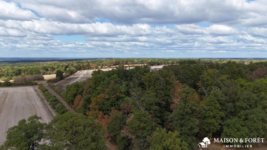 Photos 7 - Prestige - PROPRIÉTÉ DE CHASSE de 237 ha