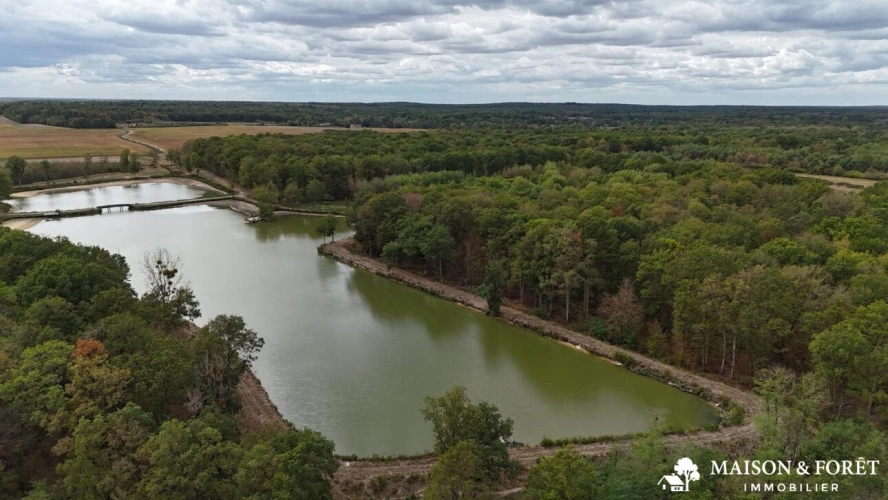 Photos 2 - Prestige - PROPRIÉTÉ DE CHASSE de 282 ha