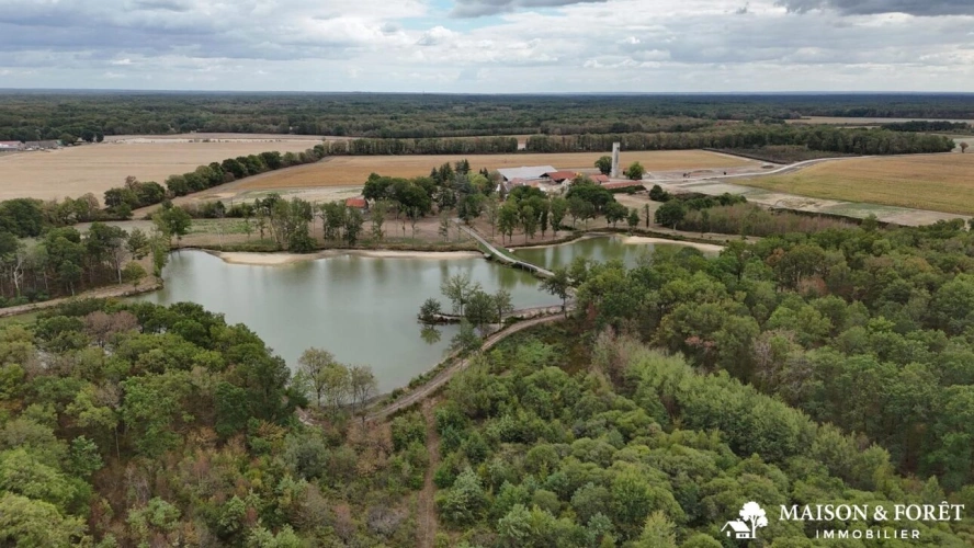 Photos 3 - Prestige - PROPRIÉTÉ DE CHASSE de 282 ha
