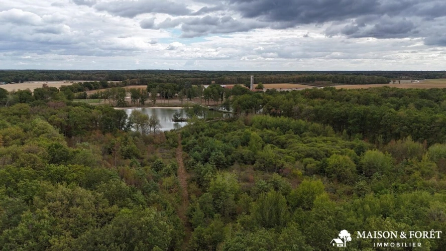 Photos 4 - Prestige - PROPRIÉTÉ DE CHASSE de 282 ha
