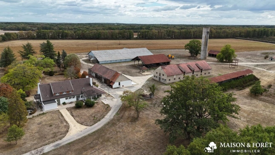 Photos 5 - Prestige - PROPRIÉTÉ DE CHASSE de 282 ha