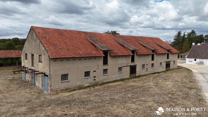 Photos 6 - Prestige - PROPRIÉTÉ DE CHASSE de 282 ha
