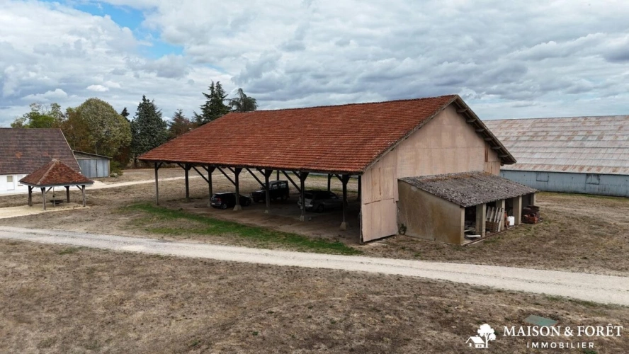 Photos 7 - Prestige - PROPRIÉTÉ DE CHASSE de 282 ha