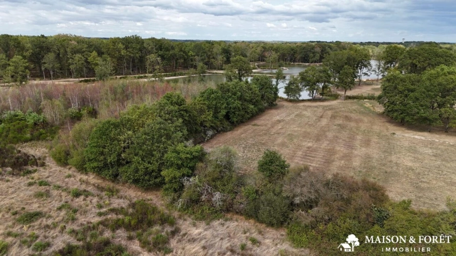 Photos 9 - Prestige - PROPRIÉTÉ DE CHASSE de 282 ha