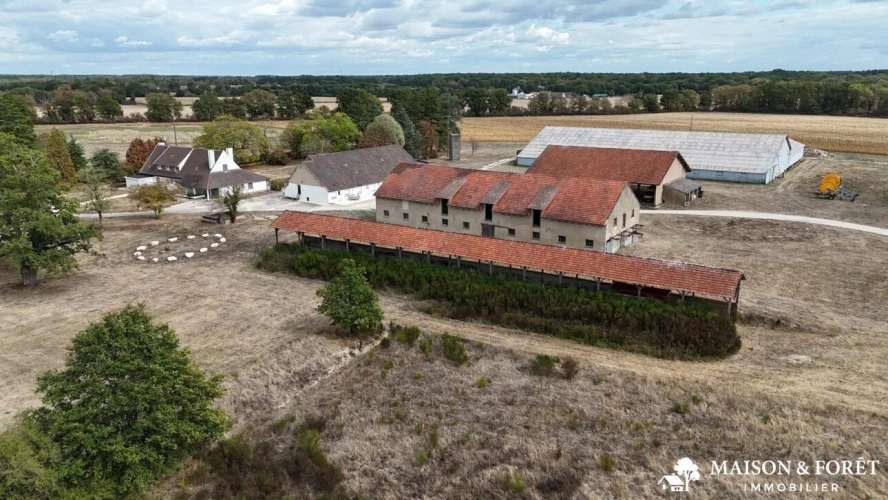 Photos 10 - Prestige - PROPRIÉTÉ DE CHASSE de 282 ha