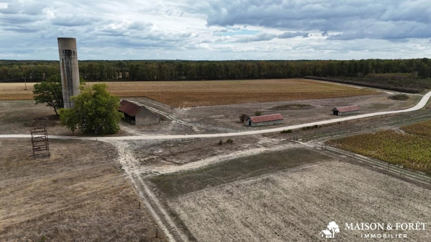 Photos 11 - Prestige - PROPRIÉTÉ DE CHASSE de 282 ha