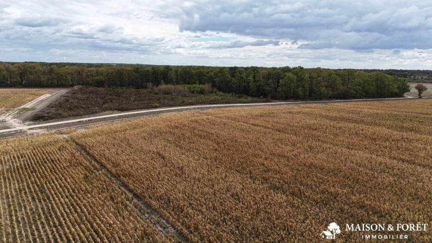 Photos 12 - Prestige - PROPRIÉTÉ DE CHASSE de 282 ha