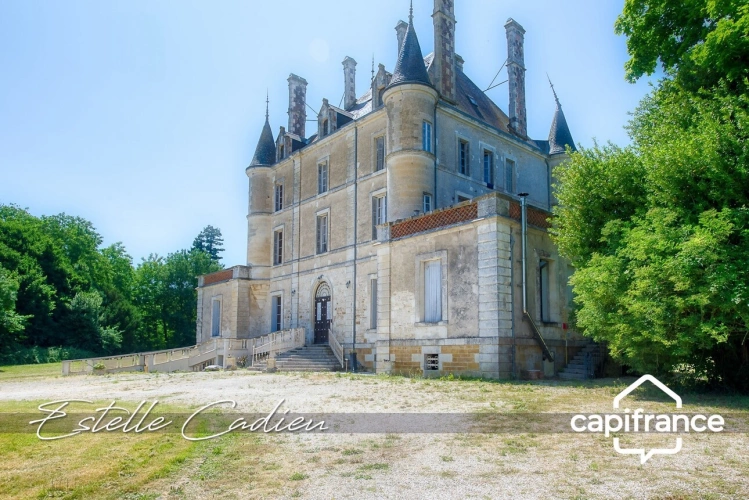 Photos 2 - Prestige - Propriété d’exception  – Château XIXe à CHANTONNAY (85)