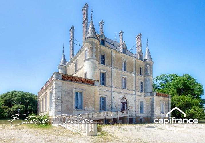 Photos 3 - Prestige - Propriété d’exception  – Château XIXe à CHANTONNAY (85)