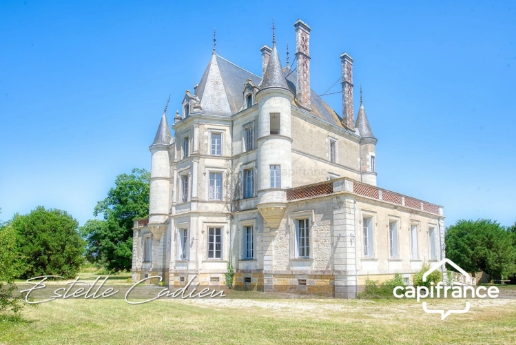 Photos 5 - Prestige - Propriété d’exception  – Château XIXe à CHANTONNAY (85)