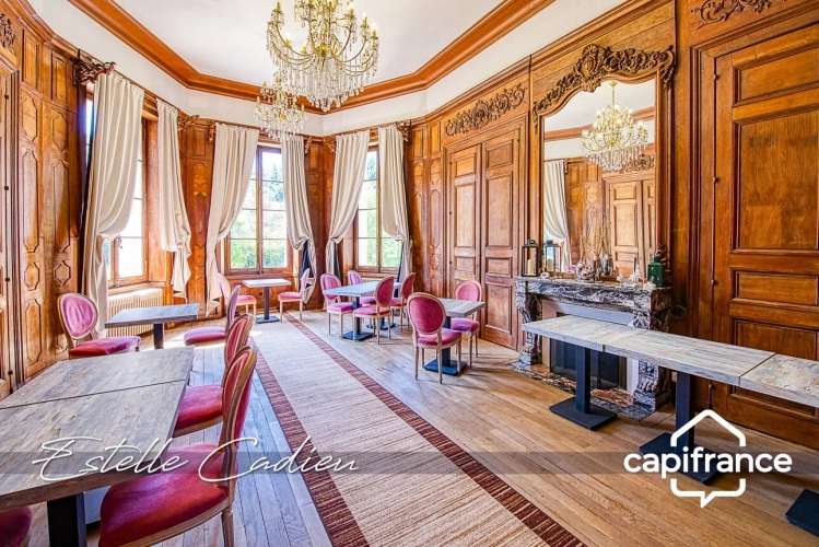 Photos 11 - Prestige - Propriété d’exception  – Château XIXe à CHANTONNAY (85)