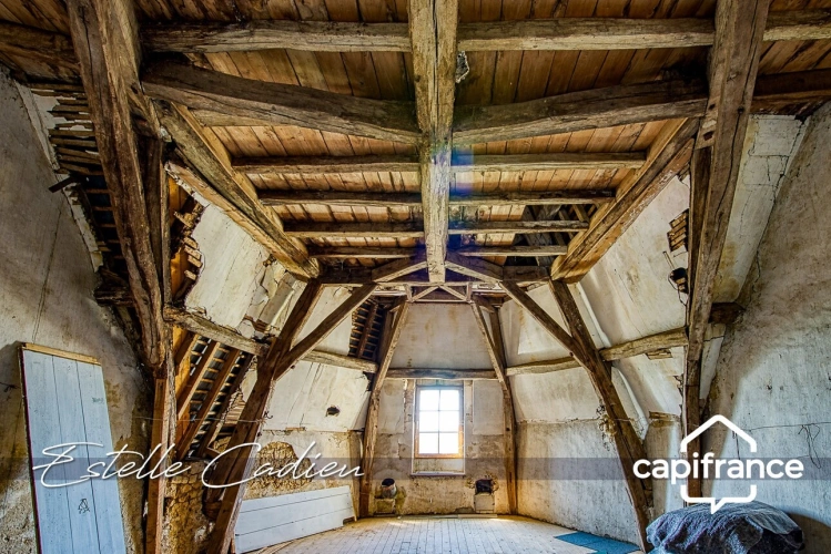 Photos 23 - Prestige - Propriété d’exception  – Château XIXe à CHANTONNAY (85)