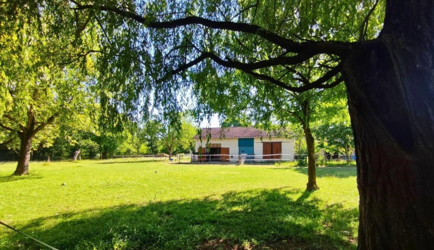 Photos 2 - Équestre - Maison avec boxes pour chevaux
