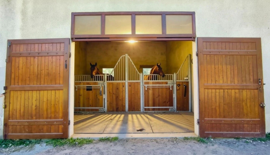 Photos 3 - Équestre - Maison avec boxes pour chevaux