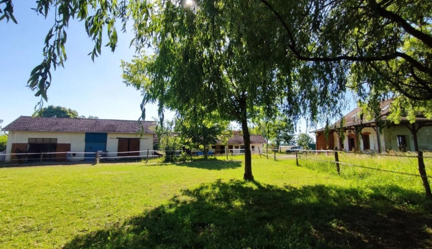 Photos 4 - Équestre - Maison avec boxes pour chevaux