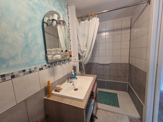 Photos 26 - Prestigious - Propriete à vendre 11 pièces DOMPIERRE SUR VEYLE (01)