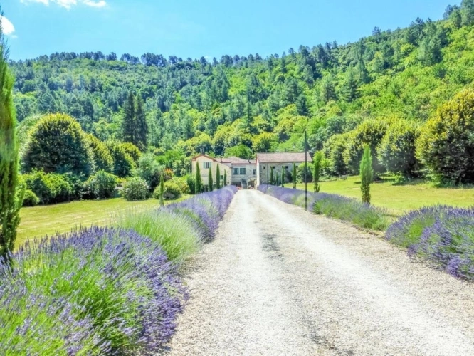 Photos 2 - Prestige - LA GRAND COMBE (30) Propriété de Caractère et Activité Touristique – Portes des Cévennes