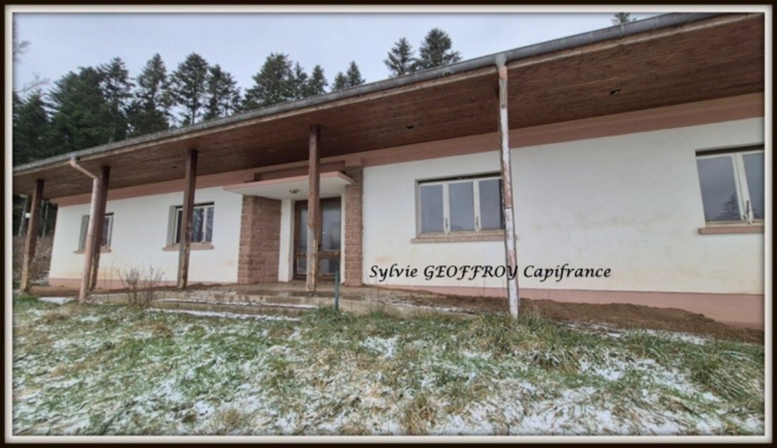 Photos 1 - Prestige - Propriete à vendre 10 pièces ETIVAL CLAIREFONTAINE (88)
