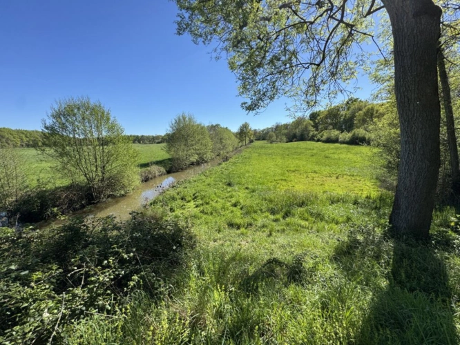 Photos 13 - Touristique - Domaine de caractère de près de 19 hectares avec étang   Anc