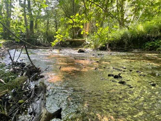 Photos 8 - Forestière - Propriété forestière de chênes, capitalisée en bois moyens et gros bois – 840 m³