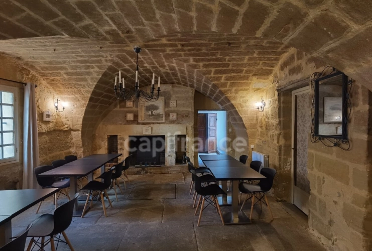 Photos 29 - Prestige - Dpt Gard (30), à vendre UZES propriete P14 de 548 m² - Terrain de 830,00 m²