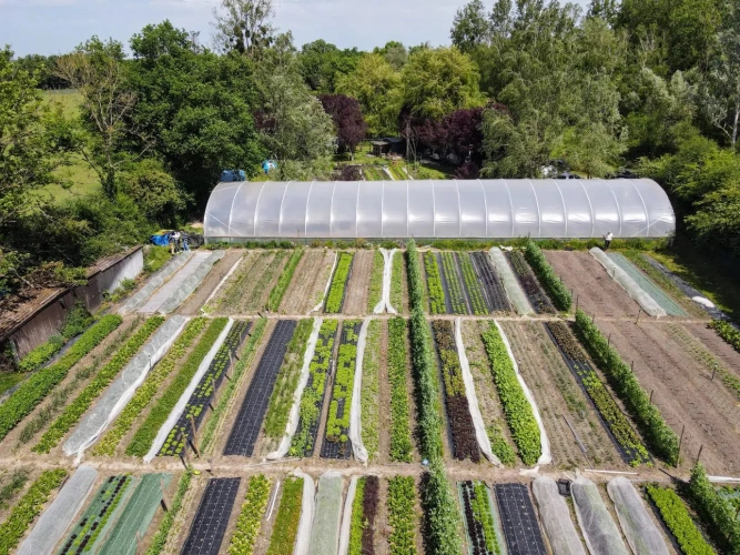 Photos 1 - Agricole - Micro ferme maraichère