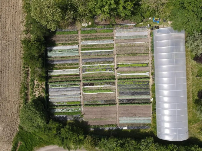 Photos 2 - Agricole - Micro ferme maraichère